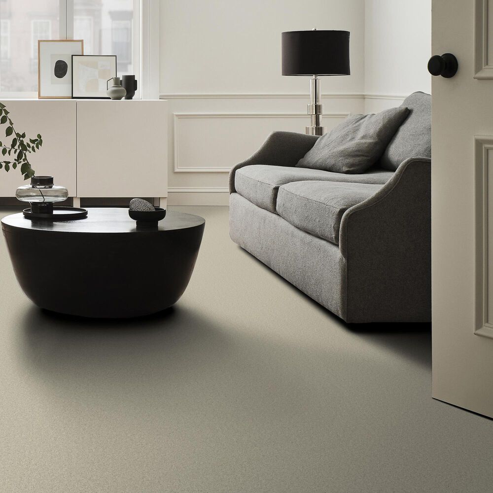 Anderson Tuftex Elegant Beauty Carpet in Aloe Wash, , large