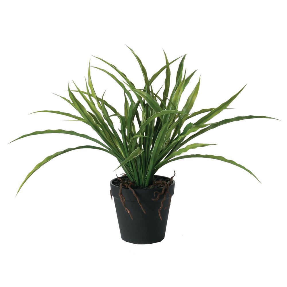 Sullivan Potted Yucca in Green, , large