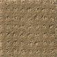 Shaw Detailed Elegance Patterned Carpet in Cappuccino, , large