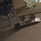 Shaw Basic Mix Carpet in Raw Wood, , large