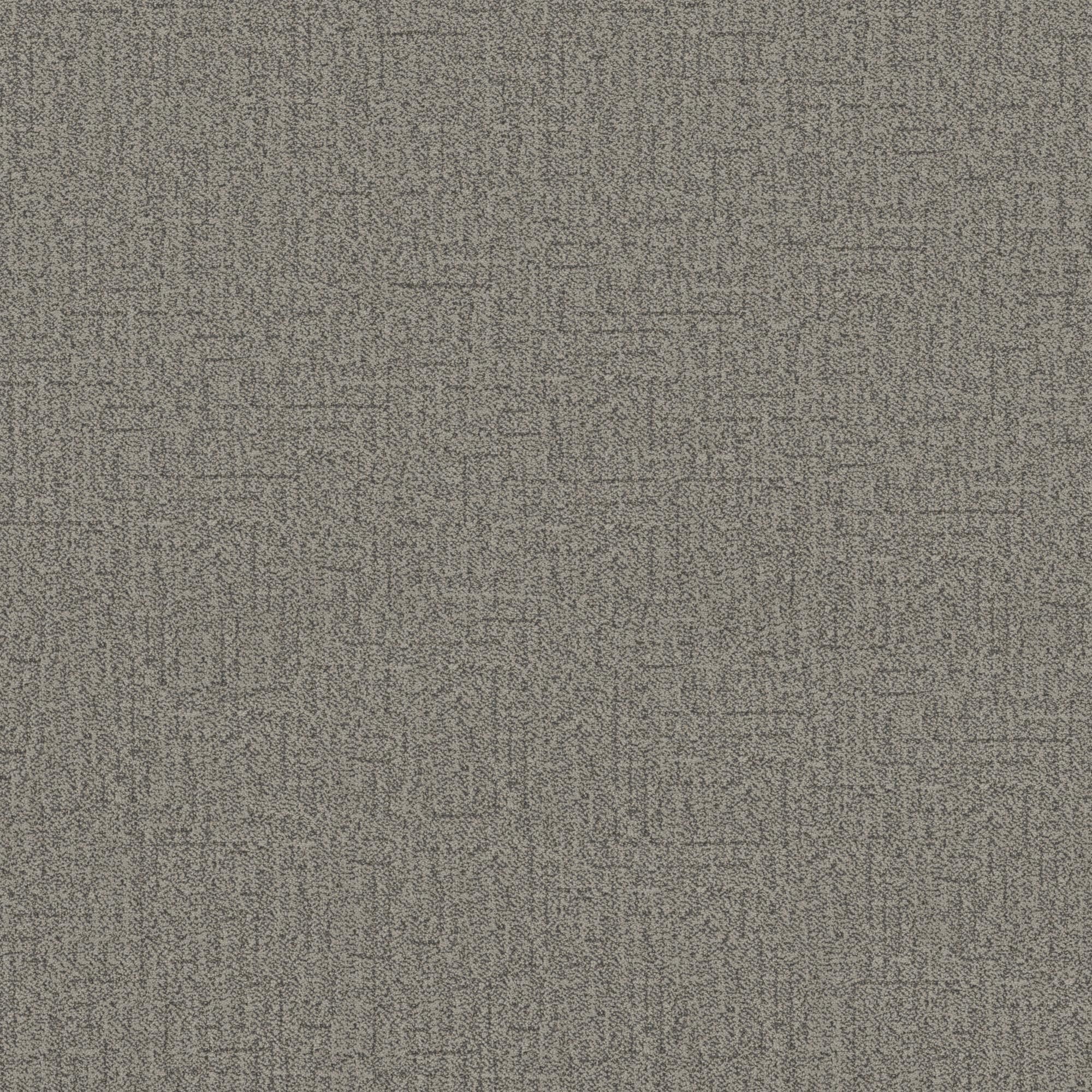 Anderson Tuftex Silhouette Carpet in Graphite