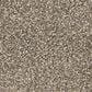 Dixie Home Escalante Carpet in Quarry, , large