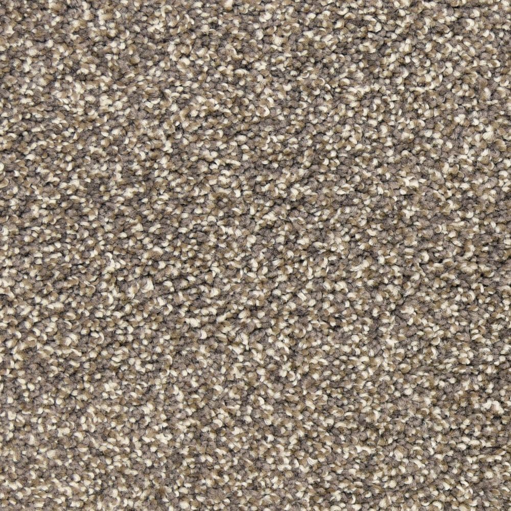 Dixie Home Escalante Carpet in Quarry, , large