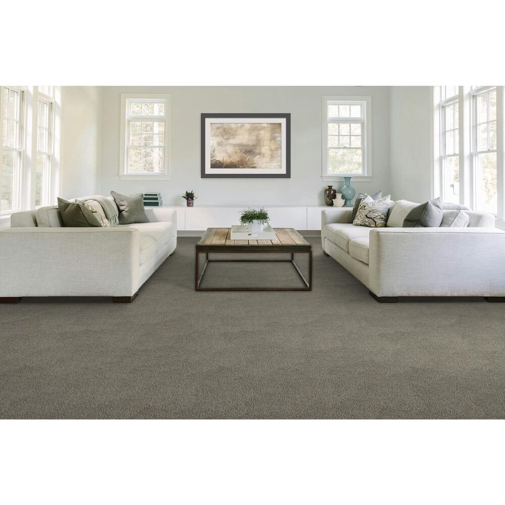 Mohawk Gentle Guardian lV Carpet in Shadow, , large