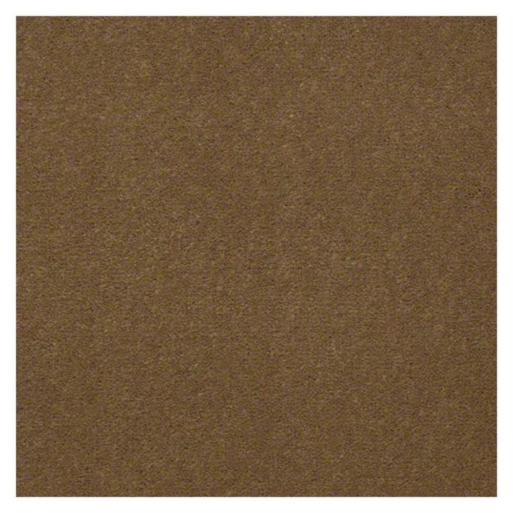 Shaw Emphatic II 36 Carpet in Cajan, , large