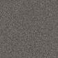 Shaw Influencer Carpet in Sentimental, , large