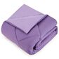 Peking Handicraft Iris 2-Piece Twin/Twin XL Comforter Set in Purple, , large