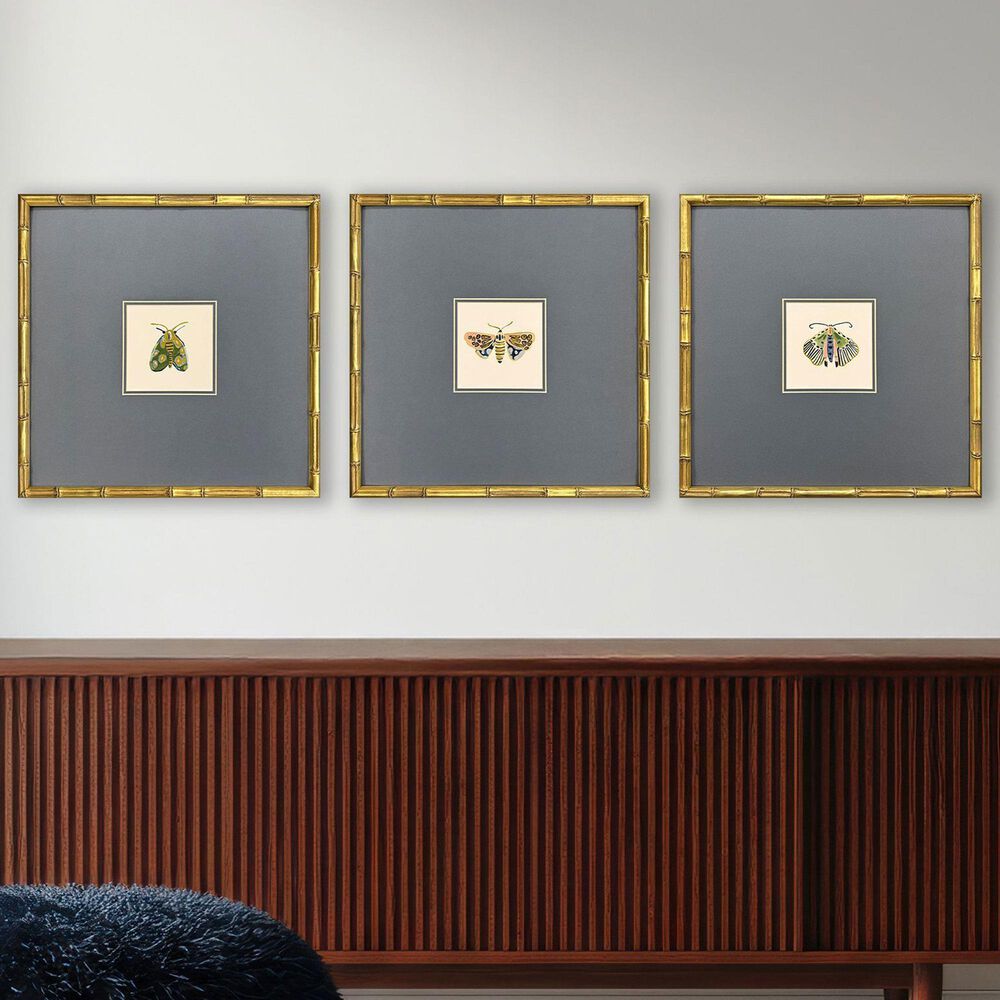 Paragon 17" x 17" Pastel Moths II Wall Art in Green (Set of 3), , large