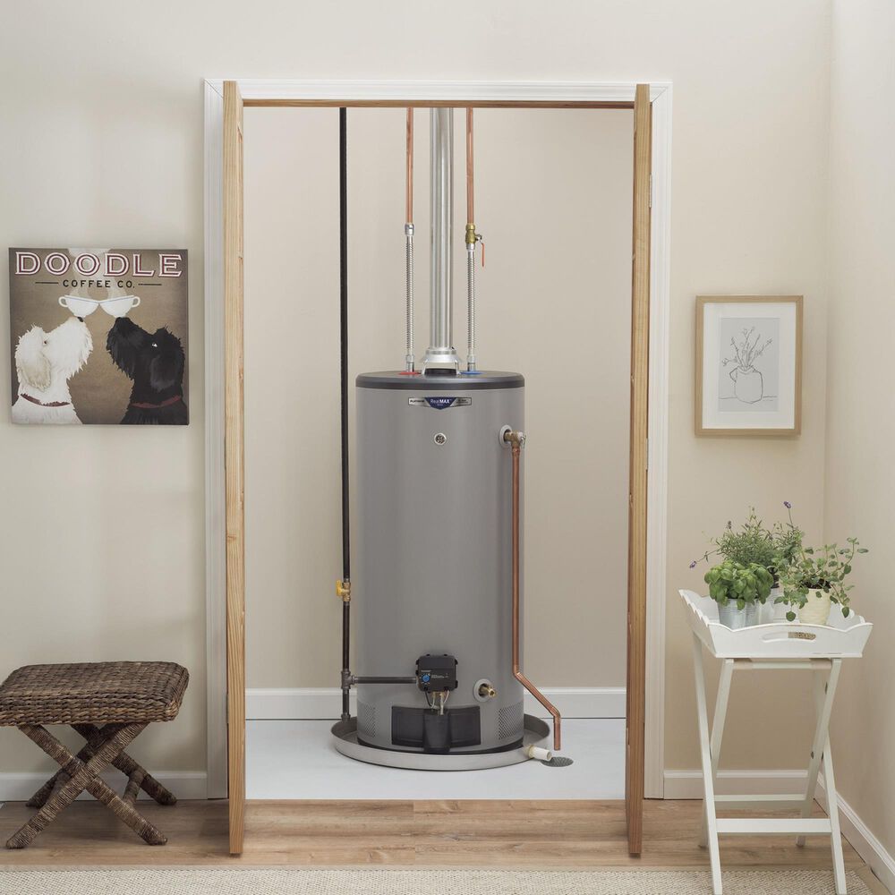 GE Appliances RealMAX Premium 40-Gallon Short Liquid Propane Atmospheric Water Heater in Gray, , large