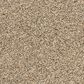 Dixie Home Natural Beauty Carpet in Fawn, , large