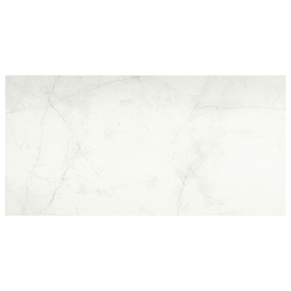 Emser Sterlina II White 12" x 24" Matte Porcelain Tile, , large