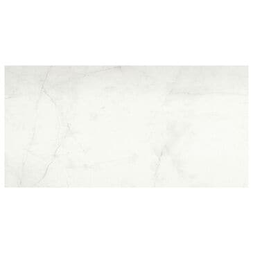 Emser Sterlina II White 12" x 24" Matte Porcelain Tile, , large