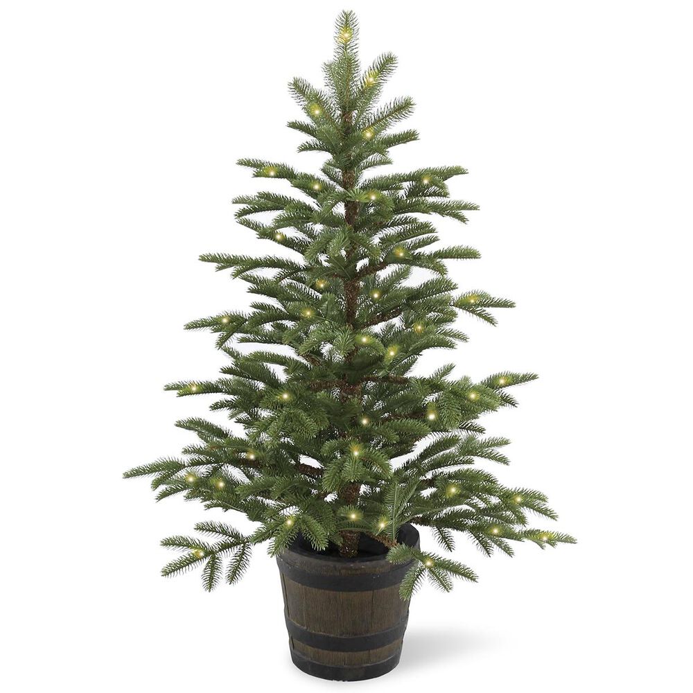 National Tree 4" Feel Real Norwegian Spruce Entrance Trees with 100 White Lights, , large