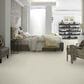 Anderson Tuftex Barracan Classic III Carpet in Cheviot, , large