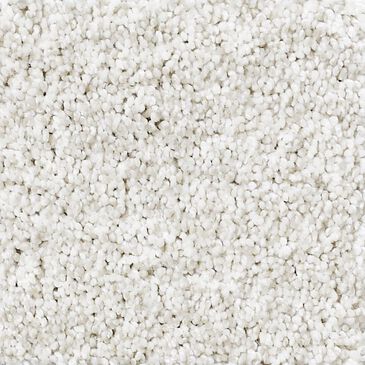 Philadelphia Foundations Take The Floor Tonal II Carpet in Orion, , large