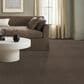 Anderson Tuftex Luxe Feel II Carpet in Mesquite, , large