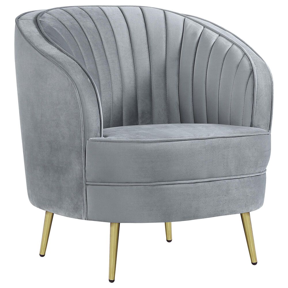 Coaster Sophia Arm Chair in Grey, , large