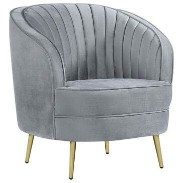 Coaster Sophia Arm Chair in Grey, , large