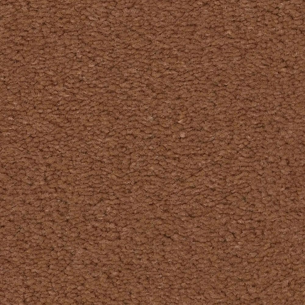 Anderson Tuftex Finery Carpet in Copper, , large