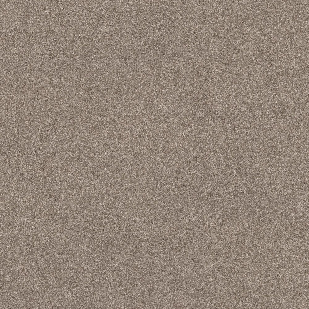 Philadelphia Delicate Feel I Carpet in Mocha, , large