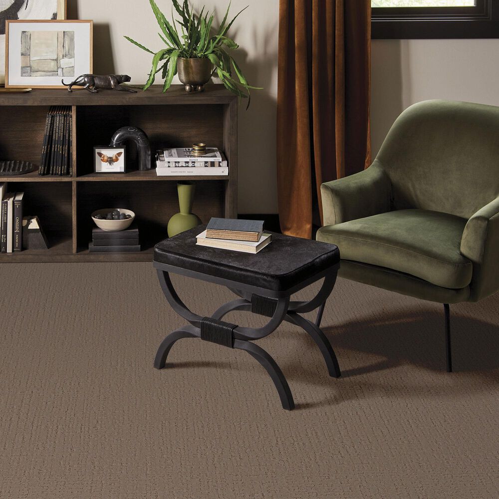 Anderson Tuftex Adair Carpet in Meet And Greet, , large