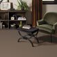 Anderson Tuftex Adair Carpet in Meet And Greet, , large