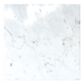 MS International Marble Carrara White 12" x 24" Polished Natural Stone Tile, , large