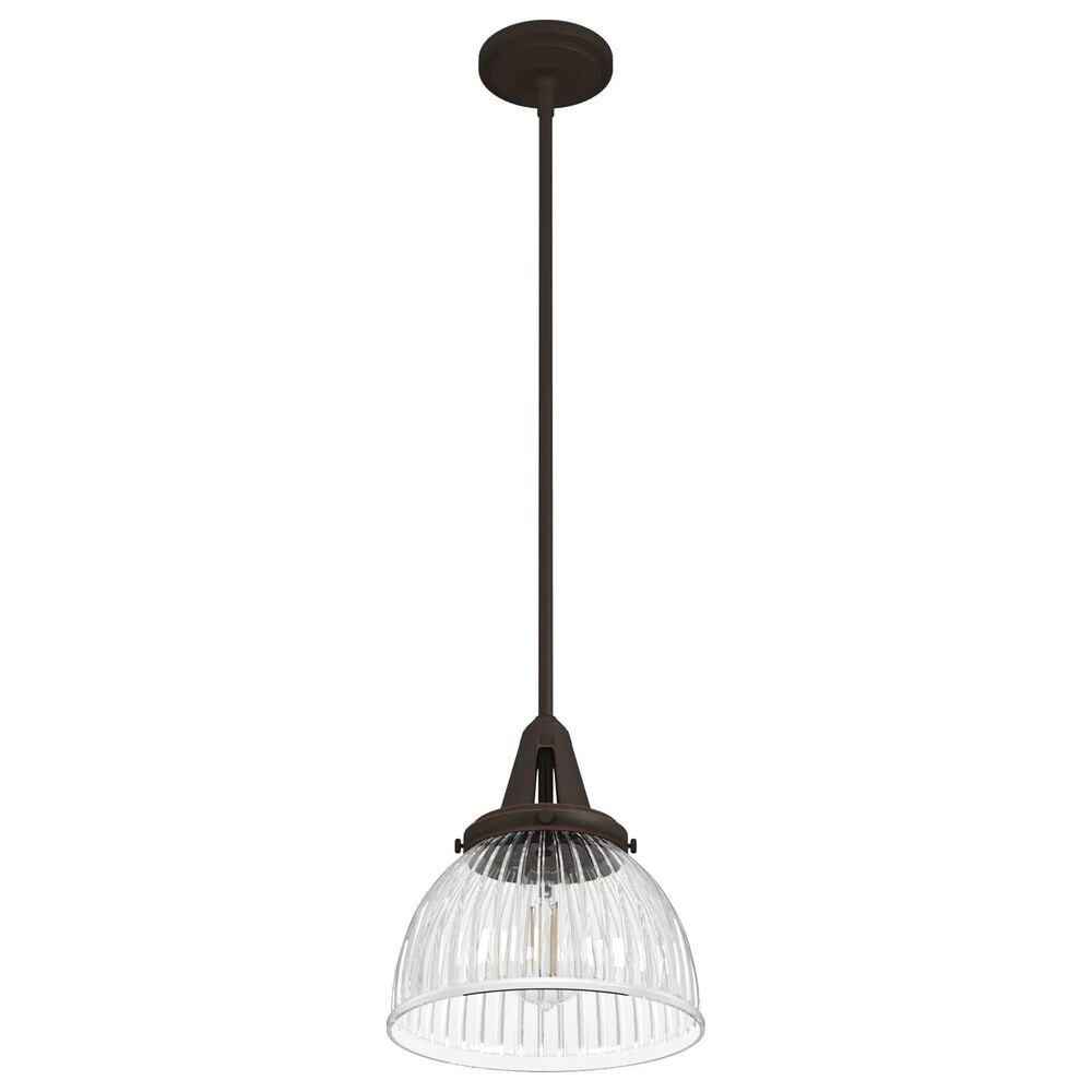 Hunter Cypress Grove 10&quot; 1-Light Pendant in Onyx Bengal, , large