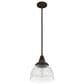 Hunter Cypress Grove 10" 1-Light Pendant in Onyx Bengal, , large