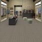 Shaw Be Present Carpet in Self, , large
