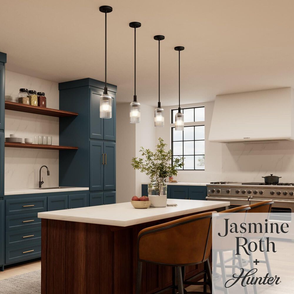 Hunter Beverly Glen Jasmine Roth 1-Light Mini Pendant in Matte Black, , large