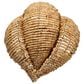 Jamie Young Direct Ship Elmont 1-Light Wood Beaded Wall Sconce in Natural, , large