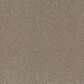 Philadelphia Mixed Essentials Carpet in Baltic Stone, , large