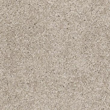 Anderson Tuftex Barracan Classic II Carpet in White Pine, , large
