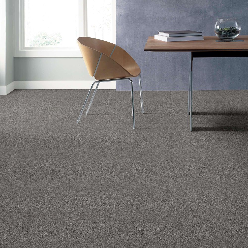 Anderson Tuftex Caress Cozy Harbor I Carpet in Grounded Gray, , large