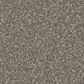 Phenix Sparta Carpet in Canyon, , large