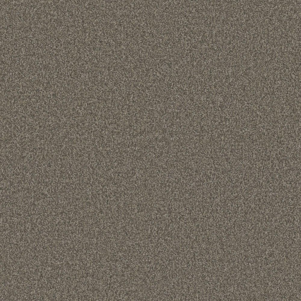 Phenix Amarillo Carpet in Bless, , large