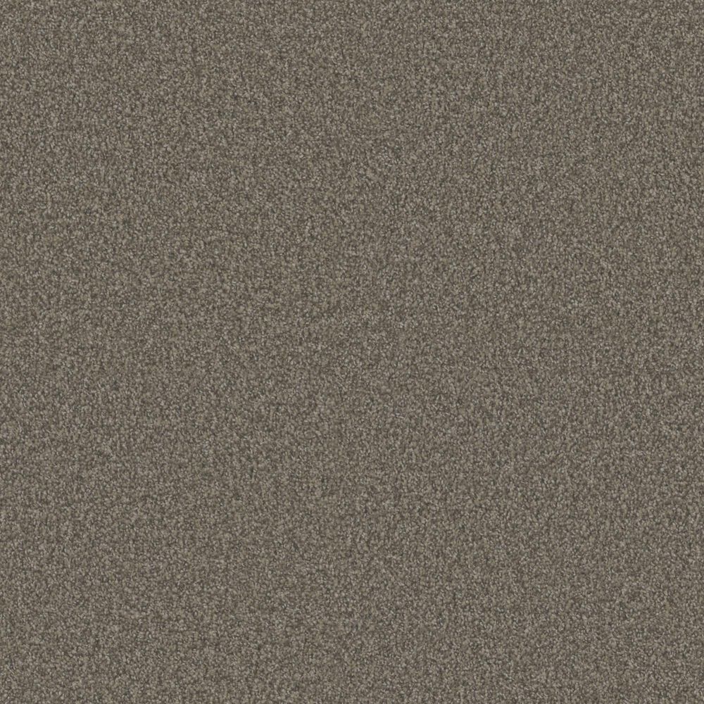Phenix Amarillo Carpet in Bless, , large