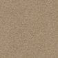 Dixie Home Trapper Carpet in Corgi, , large