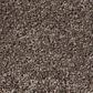 Anderson Tuftex Barracan Classic II Carpet in Spring Wood, , large