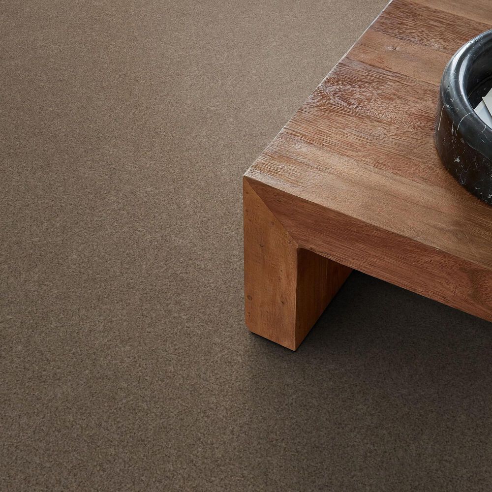 Anderson Tuftex West Peak Carpet in Bungalow, , large