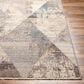 Surya Aida AAD-2308 3"11" x 5"10" Beige, Tan, Gray, Ivory and Medium Gray Area Rug, , large