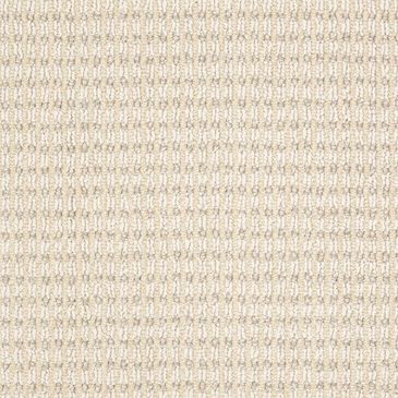 Anderson Tuftex Abbey"s Road Carpet in Aura, , large