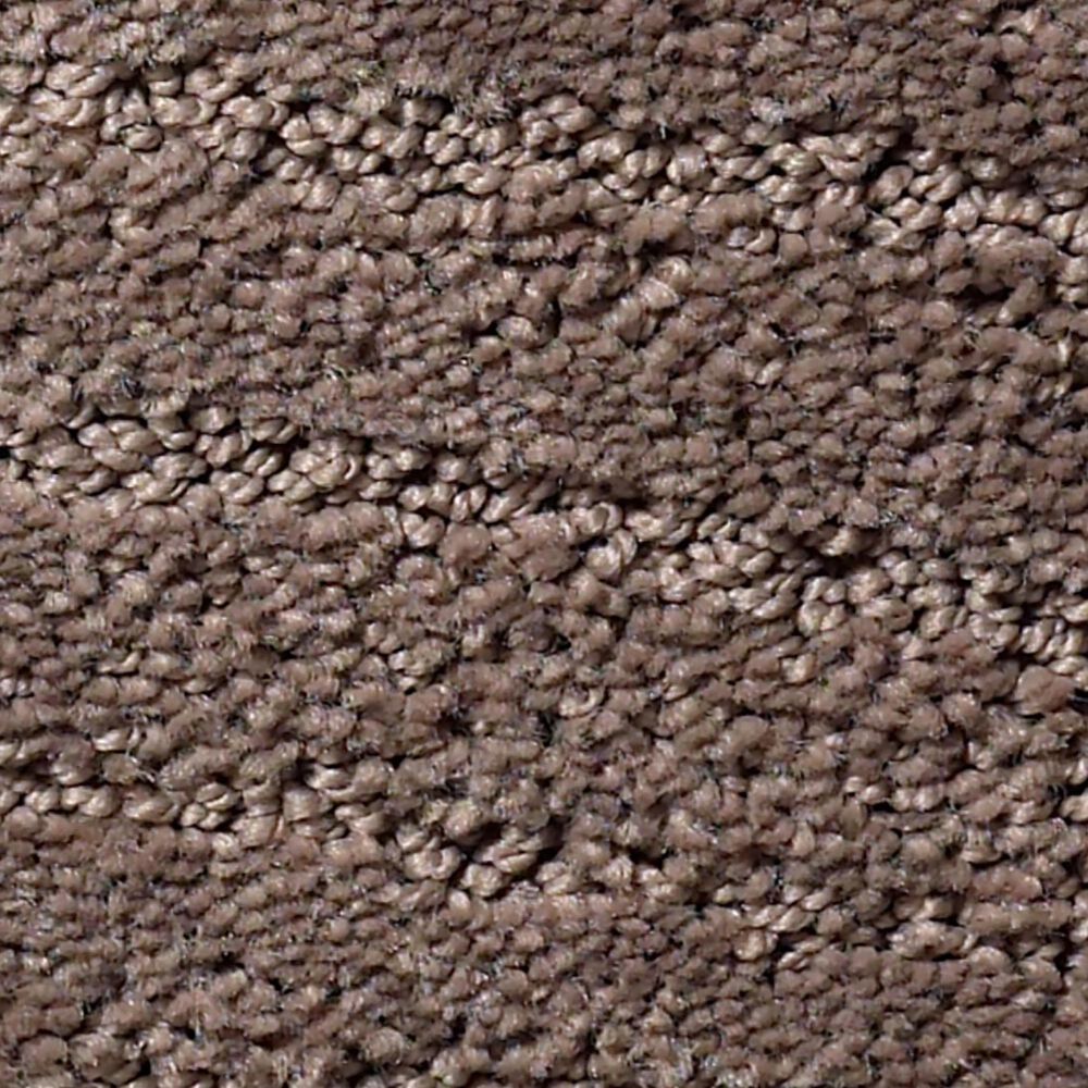 Anderson Tuftex Pose Carpet in Chantrelle, , large