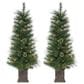 The Gerson Company 4" Potted Hard Needle Christmas Tree with White LED Lights in Green (Set of 2), , large