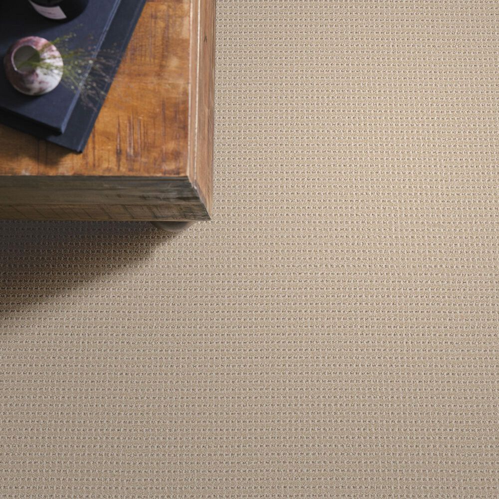 Anderson Tuftex Rhode Carpet in Cashmere, , large