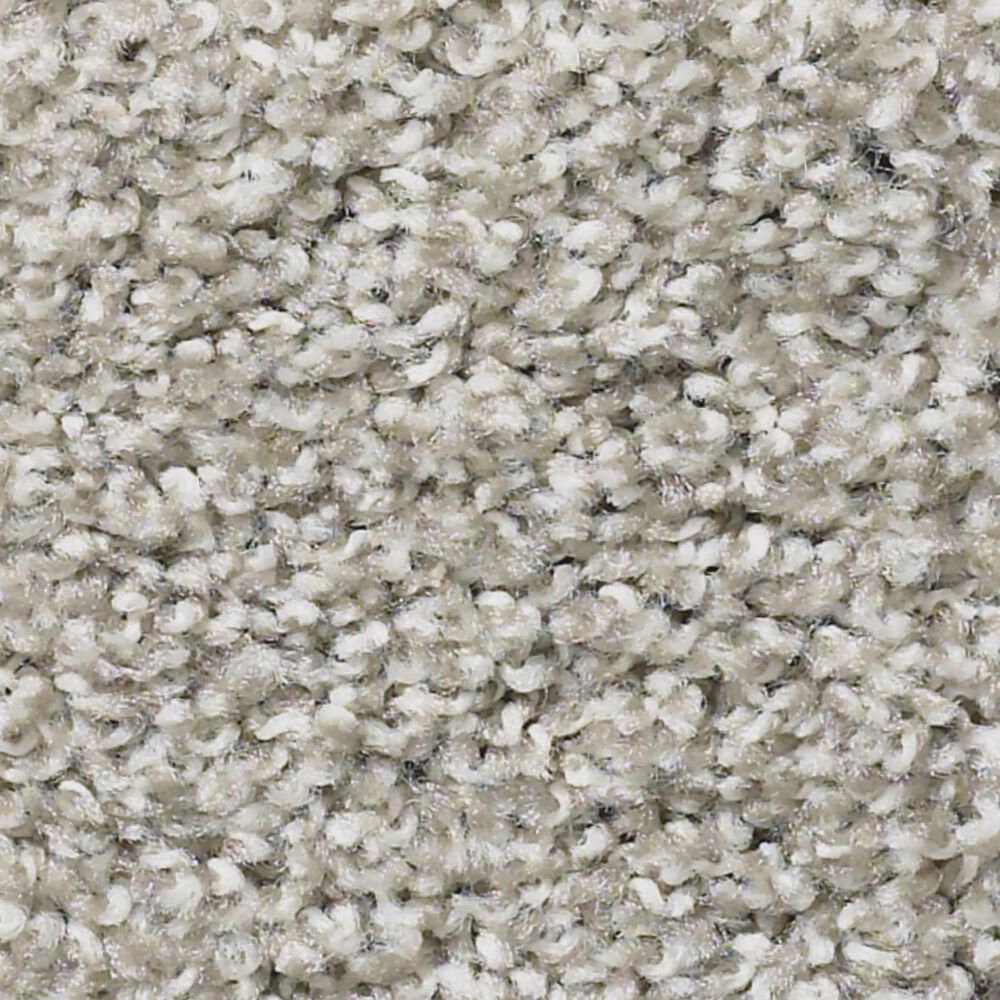 Shaw Balanced Carpet in Winter Birch, , large