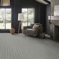 Anderson Tuftex Collab Carpet in Stonewashed, , large