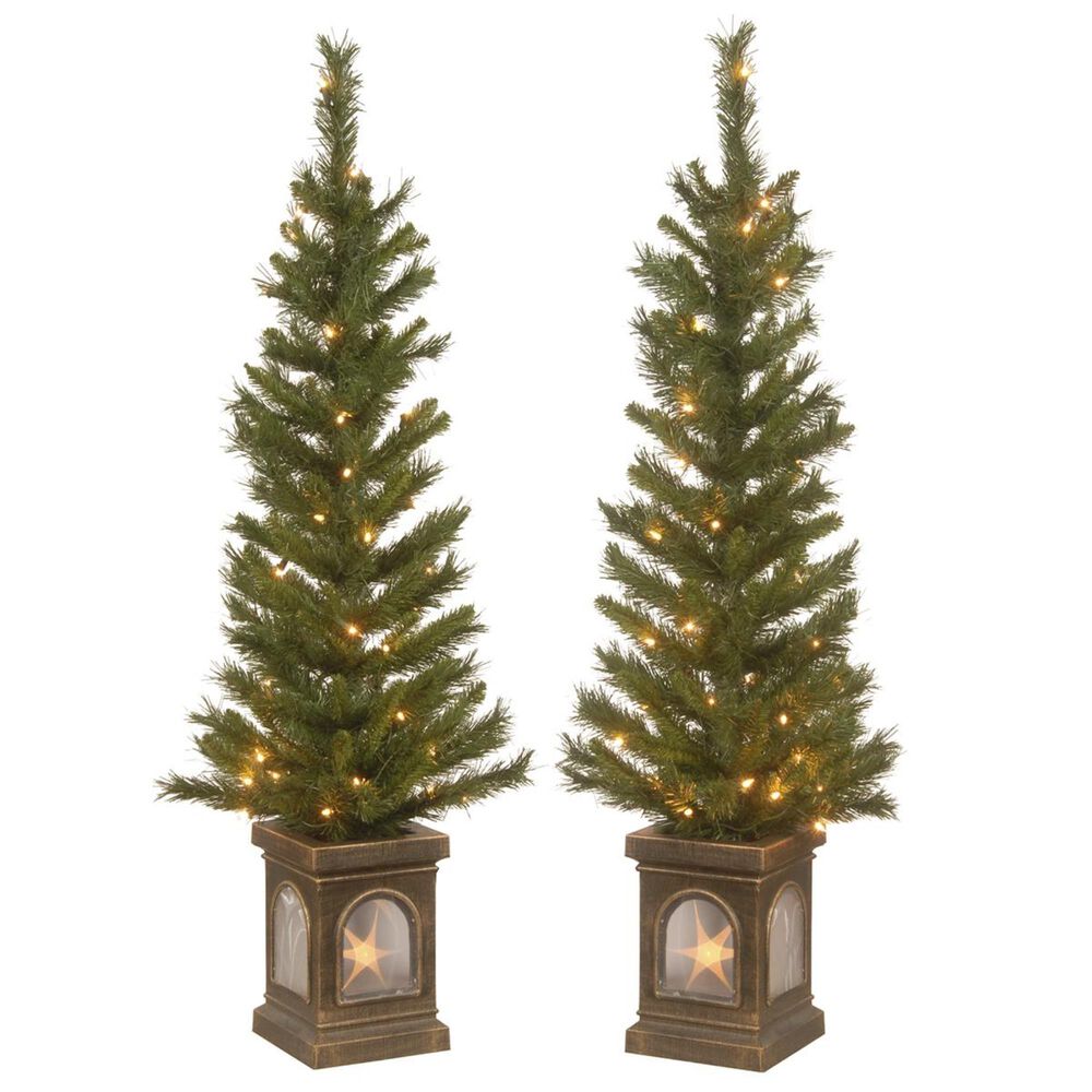 National Tree 4" Lehigh Valley Pine Entrance Tree with 50 White Lights (Set of 2), , large