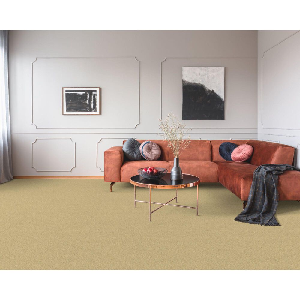 Dixie Home Simplicity Carpet in Days End, , large